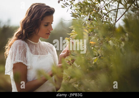 Schöne junge Frau mit Olivenbaum am Bauernhof hautnah Stockfoto