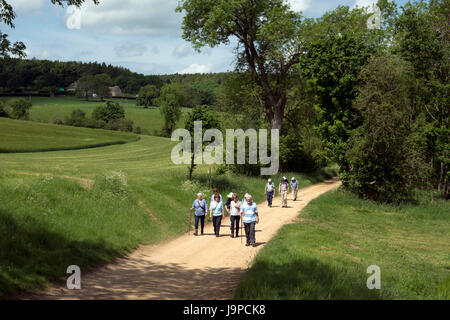 Walking-Gruppe in den Cotswolds, Gloucestershire, England, UK Stockfoto