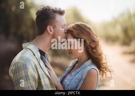 Seitenansicht der junge Mann küssen Frau am Olivenfarm Stockfoto