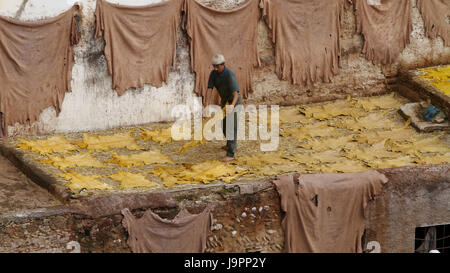 Mann bei der Arbeit in den Farbstoff Vierter in F flach, Marokko, Stockfoto