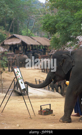 Thailand, Chiang Mai, Mae Sa Elephant Camp, Elefant, Staffelei, Bild, Farbe, Asien, Nordthailand, Ort von Interesse, Tier, Säugetier, Dickhäuter, Stamm, Tourismus, Reiseziel, Elefanten Camp, Show, Attraktion, Touristenattraktion, Malerei, Pinsel, Stockfoto