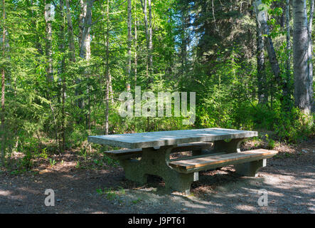 Eine leere Stein Picknick Tabe sitzt bereit unter den Bäumen Frühlingsgrün Stockfoto