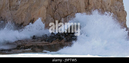 Welle auf der Seelöwen-Kolonie bei Lands End in Cabo San Lucas Baja Mexiko BCS Stockfoto