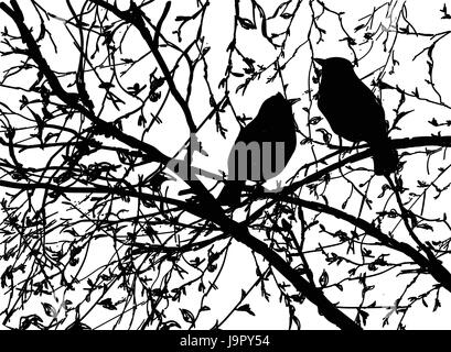 Vektor Silhouetten der Vögel auf Zweig Baum, Hand gezeichnet, Vogel auf Zweig auf weißem Hintergrund. Stock Vektor