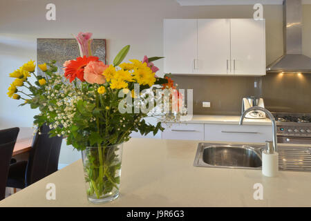 Moderne australische Küche, mit Oberflächen reinigen und Vase mit Blumen. Stockfoto