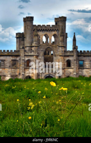 Ein Hoch auf die Shell von lowther Castle in Cumbria, Großbritannien. Daisy Blumen und Gras im Vordergrund, mit Wolken im Hintergrund. Stockfoto