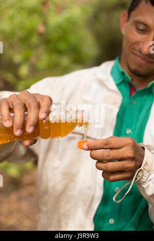 Ein Landwirt Honig Proben etwas frisch geerntete Honig in Léon Abteilung, Nicaragua. Stockfoto