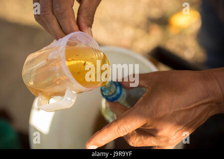 Eine Honigbiene Halter Flaschen frisch geerntete Honig bei Léon Abteilung, Nicaragua. Stockfoto