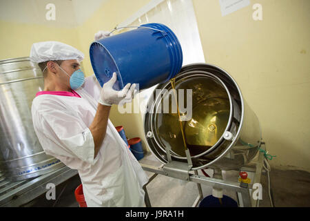 Ein Arbeiter filtert Honig in eine Genossenschaft Verpackungsanlage in der Stadt El Sauce, Nicaragua. Stockfoto