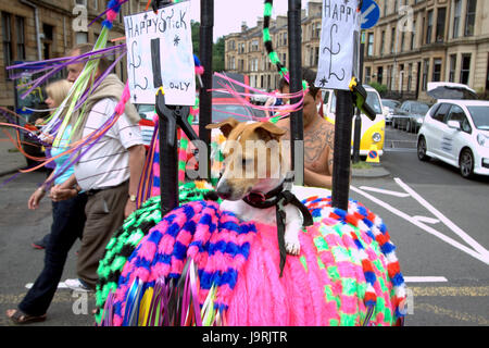 West End Festival Szenen und Menschen, Glasgow-Darsteller Stockfoto