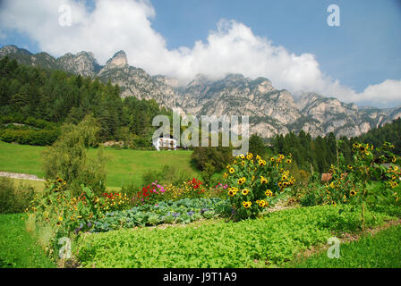Italien, Südtirol, Tierser Tal, St. Zyprian, Dolomiten, Alm
