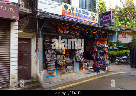 Nepalesischen mann Consulting sein Handy auf der Veranda eines Kammgarn Kunsthandwerksladen, Thamel, Kathmandu, Nepal. Stockfoto