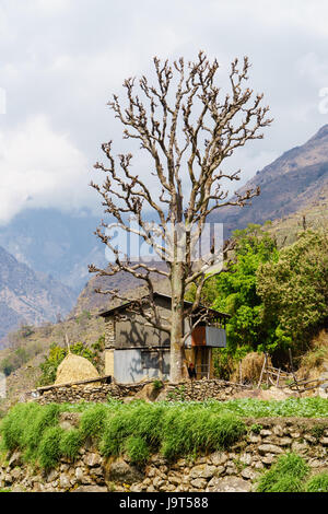 Einfaches zweistöckiges Bauernhaus in der Annapurna region, Nepal. Stockfoto