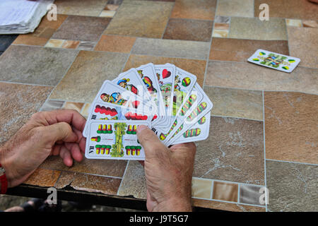 Ältere Gentleman Spielkarten an einem gemeinsamen Tisch im Park. Stockfoto