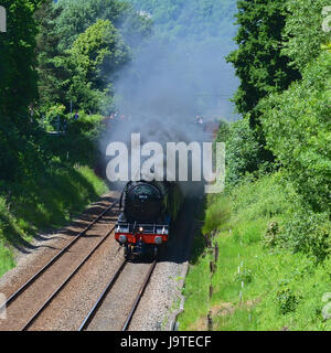 Reigate, Surrey, UK. 3. Juni 2017. Flying Scotsman 60103 Kathedralen Express Dampflokomotive schleppen Salonwagen Geschwindigkeiten durch Reigate, Surrey. 1304hrs Samstag, 3. Juni 2017. Foto © Lindsay Constable / Alamy Live News Stockfoto