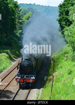 Reigate, Surrey, UK. 3. Juni 2017. Flying Scotsman 60103 Kathedralen Express Dampflokomotive schleppen Salonwagen Geschwindigkeiten durch Reigate, Surrey. 1304hrs Samstag, 3. Juni 2017. Foto © Lindsay Constable / Alamy Live News Stockfoto