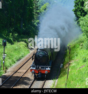 Reigate, Surrey, UK. 3. Juni 2017. Flying Scotsman 60103 Kathedralen Express Dampflokomotive schleppen Salonwagen Geschwindigkeiten durch Reigate, Surrey. 1304hrs Samstag, 3. Juni 2017. Foto © Lindsay Constable / Alamy Live News Stockfoto