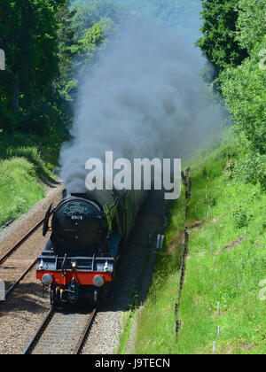 Reigate, Surrey, UK. 3. Juni 2017. Flying Scotsman 60103 Kathedralen Express Dampflokomotive schleppen Salonwagen Geschwindigkeiten durch Reigate, Surrey. 1304hrs Samstag, 3. Juni 2017. Foto © Lindsay Constable / Alamy Live News Stockfoto