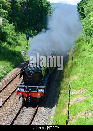 Reigate, Surrey, UK. 3. Juni 2017. Flying Scotsman 60103 Kathedralen Express Dampflokomotive schleppen Salonwagen Geschwindigkeiten durch Reigate, Surrey. 1304hrs Samstag, 3. Juni 2017. Foto © Lindsay Constable / Alamy Live News Stockfoto