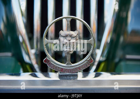 Jaguar Classic Car Show Tatton Park Cheshire Stockfoto