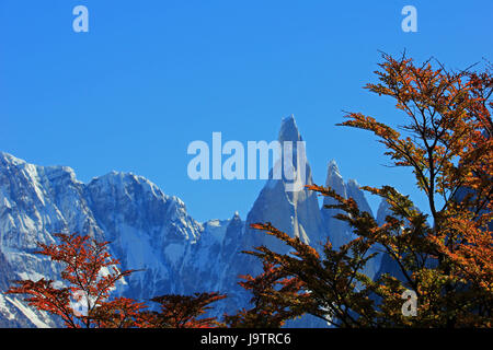 Cerro Torre Berg in herbstlichen Farben. Der Nationalpark Los Glaciares in Argentinien schließen vorne im Fokus Stockfoto