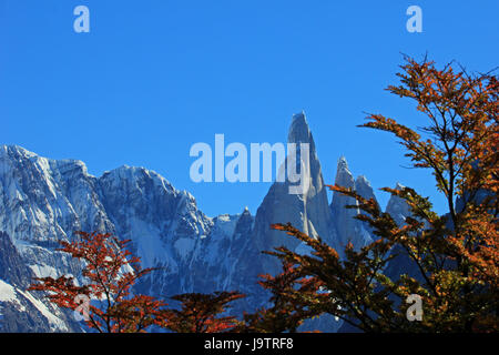 Cerro Torre Berg in herbstlichen Farben. Der Nationalpark Los Glaciares in Argentinien Hintergrund Berg im Fokus Stockfoto