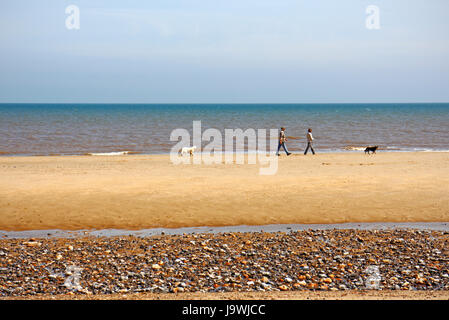 Ein paar wenige Hunde am Strand von der North Norfolk Küstenort Mundesley-on-Sea, Norfolk, England, Vereinigtes Königreich. Stockfoto