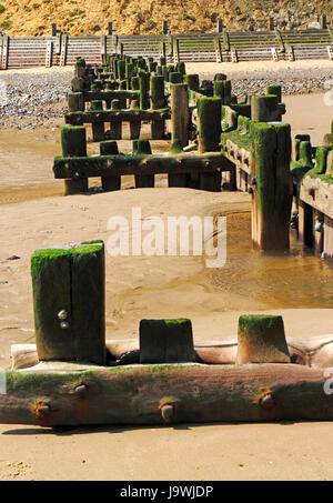 Ein Blick auf ein Holz Wellenbrecher, die Anzeichen von Verschleiß auf der North Norfolk Coast in mundesley-on-sea, Norfolk, England, Vereinigtes Königreich. Stockfoto