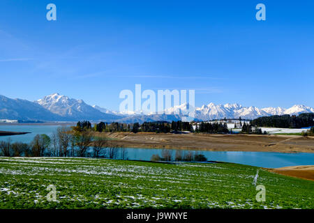 Forggensee vor Halblech, Ostallgäu, Allgäu, Allgäuer Alpen, Schwaben, Bayern, Deutschland Stockfoto
