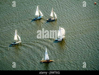Segelregatta am See Baldeney, Segeln Boote, Essen, Ruhr und Umgebung, Nordrhein-Westfalen, Deutschland Stockfoto
