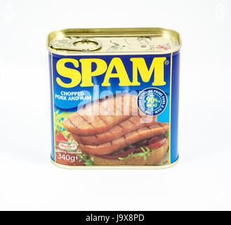 Eine 340g Dose Spam auf einem weißen Hintergrund. Stockfoto