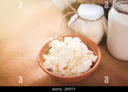 Stillleben mit Milch, Quark und Joghurt auf dem Tisch. Bauernhof Kuh Milchprodukte. Rustikale Stillleben. Stockfoto