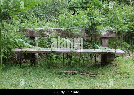 Sligo Kilkenny Wald, der in der Sligo Waldbrände in 2017 - verbrannte Wanderwege und geschwärzte Bäume betroffen war Stockfoto