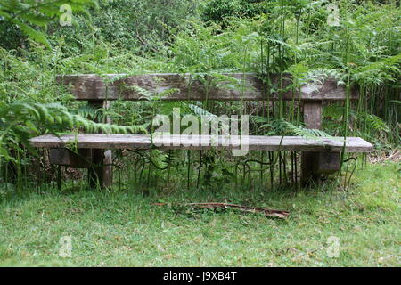 Sligo Kilkenny Wald, der in der Sligo Waldbrände in 2017 - verbrannte Wanderwege und geschwärzte Bäume betroffen war Stockfoto