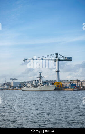 F236 HMS Montrose neben in Devonport Royal Naval Dockyard, Plymouth... Stockfoto