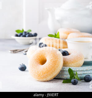 Donuts mit Puderzucker und frische Heidelbeeren auf hellgrauen Hintergrund. Kopieren Sie Raum. Stockfoto
