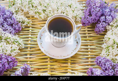 Designerhintergrund aus den Zweigen der Weide, Blumen von Flieder und Tasse Kaffee Stockfoto