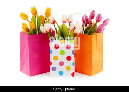 Blatt, Makro, Nahaufnahme, Makro-Aufnahme, Nahaufnahme, isoliert, Farbe, Stockfoto
