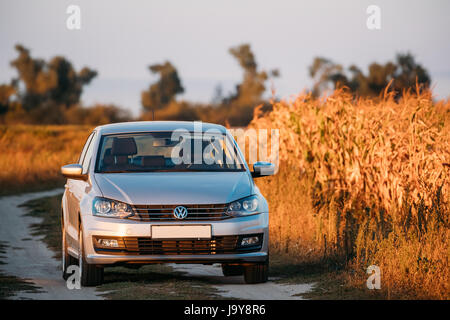 Gomel, Weißrussland - 14. September 2016: Volkswagen Polo Vento Limousine Parkplatz in der Nähe von Landstraße im Herbst Feld im sonnigen Abend. Stockfoto