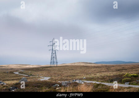 Stehen in einer Reihe über die Moorlandschaft, Pylonen, die Leistung zu liefern, zu den Menschen. Stockfoto