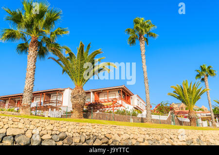 Palmen Sie und traditionellen Wohnungen auf blauen Himmelshintergrund in Costa Adeje Stadt, Teneriffa, Kanarische Inseln, Spanien Stockfoto