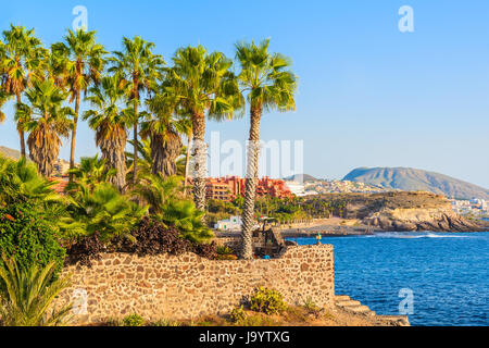 Palmen an der Südküste Teneriffas Insel mit Costa Adeje Küstenstadt im Hintergrund, Kanarische Inseln, Spanien Stockfoto