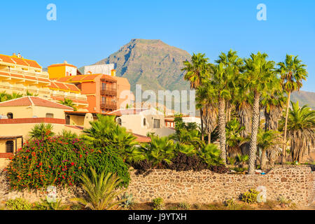 Palmen und Wohnblocks auf der Küste von Teneriffa in Costa Adeje Seaside Town, Kanarische Inseln, Spanien Stockfoto