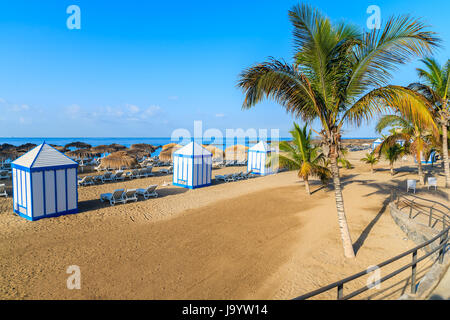 Palmen am Strand El Duque in Costa Adeje am Meer Stadt, Teneriffa, Kanarische Inseln, Spanien Stockfoto