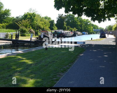 Aussicht vom Grand Union Canal Hanwell Westlondon Stockfoto