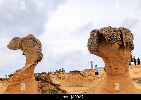 25. Mai 2016 natürliche Felsformation bei Yehliu Geopark in New Taipei, Taiwan. Diese Felslandschaft Bildung ist eines der berühmtesten Wunder in der Welt Stockfoto