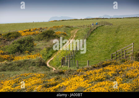 Großbritannien, Wales, Pembrokeshire, Solva, neun Brunnen, zwei weibliche Wanderer in Ferne auf Coast Path Stockfoto