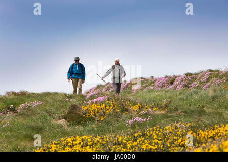 Großbritannien, Wales, Pembrokeshire, Solva, zwei alte Männer, die zu Fuß auf Wales Coast Path bei Craig Friw Stockfoto