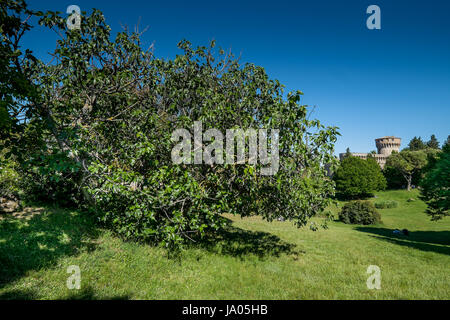 VOLTERRA, Toskana - 21. Mai 2017 - Medici-Festung mit dem Park in Volterra Toskana Italien Stockfoto