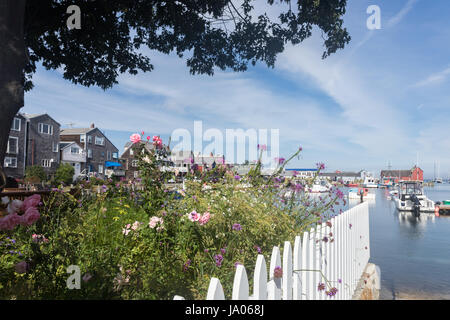 Panoramablick auf Blumen und Motiv Nummer 1 im Hintergrund in Rockport, MA. Stockfoto